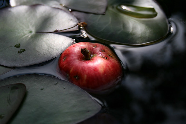 Pond of Eve