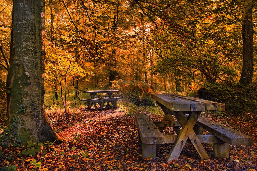 Autumn in Normandy by David Martin Castan