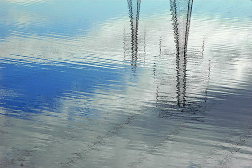 Electrified Reflection | by DarrynSantich