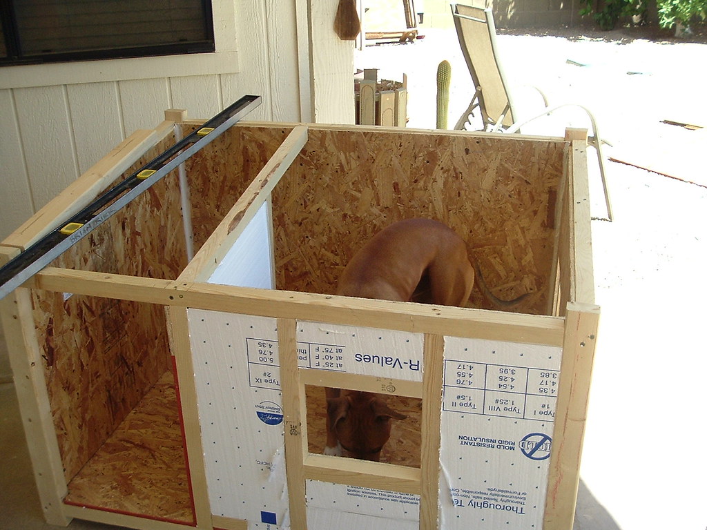 Airconditioned Dog House - Insulating 11, Brian Kirk