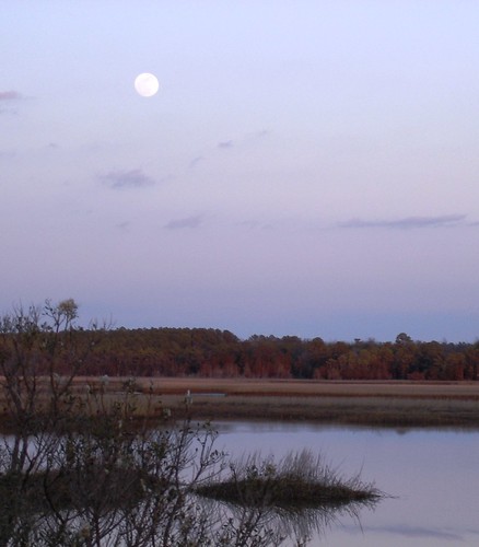moon rural easternshore marsh quinby anythingwithwater allphotoswanted machipongoriver seasidecreek