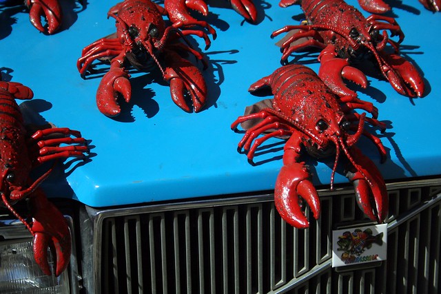 Lobster Chorus