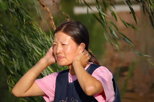 Caught in the Wind... | by Maggie's World ...