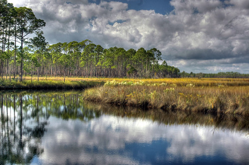 Cash Creek | by TLH_BobCat