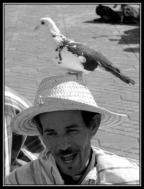 Pájaros en la cabeza - Birds in the head (Explore Nov 18, 2006)