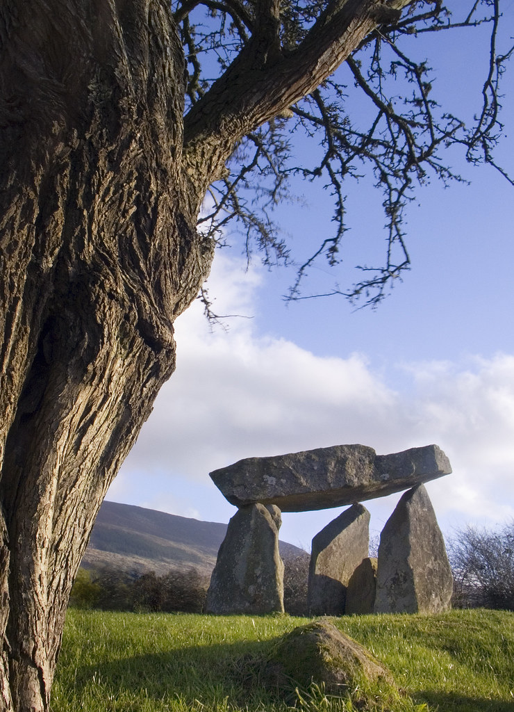 ballykeel dolmen tree | A gnarly old hawthorn tree growing b… | Flickr