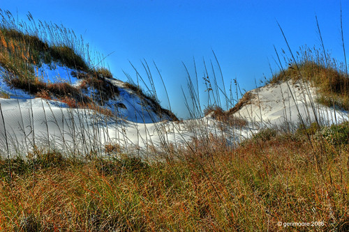 Cape San Blas dunes