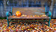 Pumpkin Bench - University of Oregon