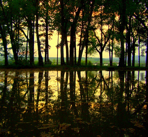 reflection pond