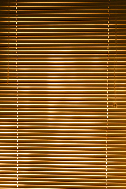 20100509_window_blind