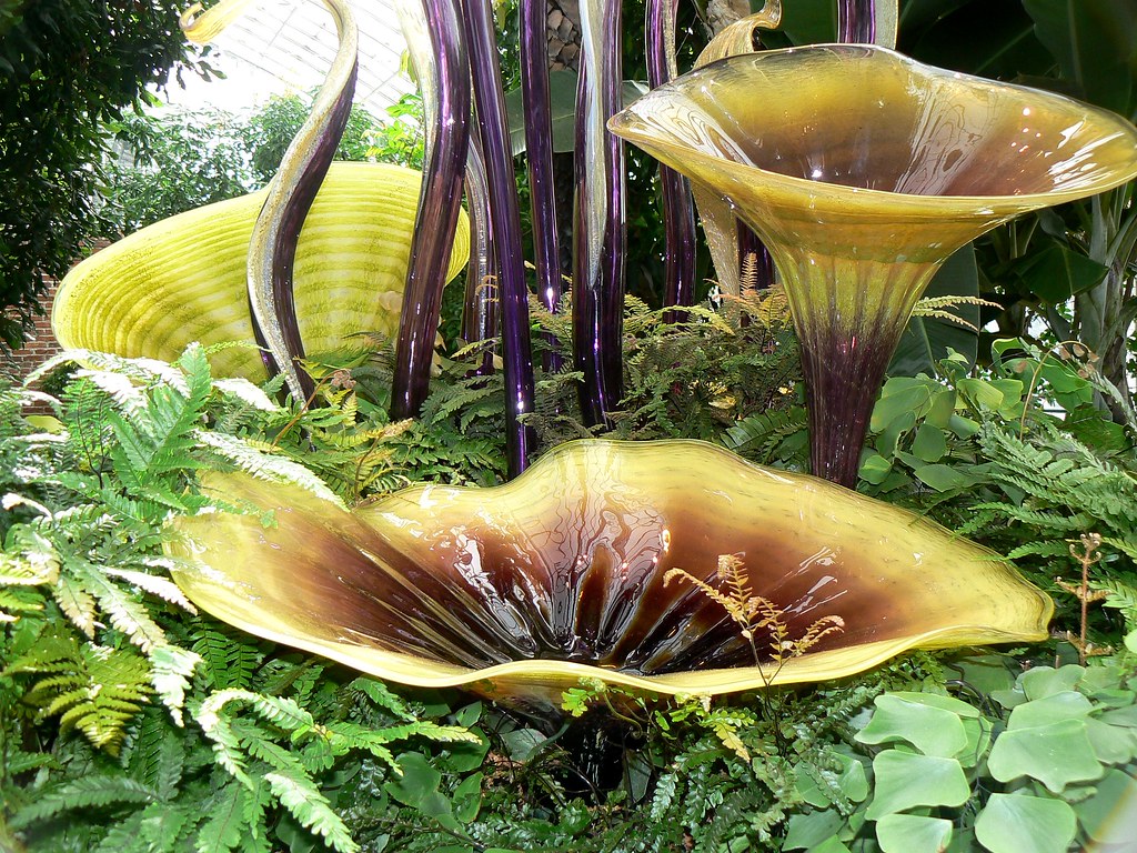 ~Chihuly at Phipps~