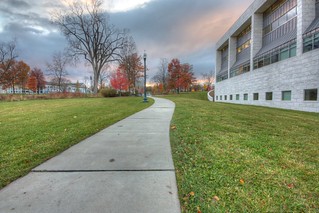 302/365: Library Path