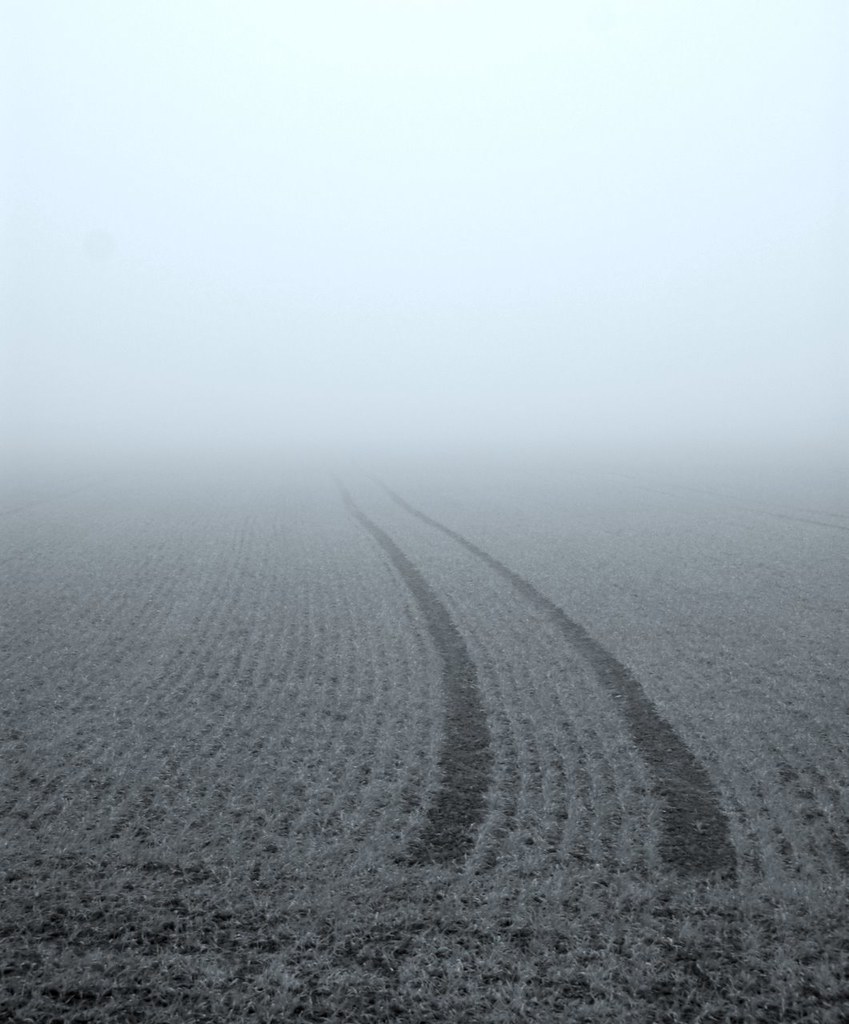 Misty Acre by Dirk Paessler
