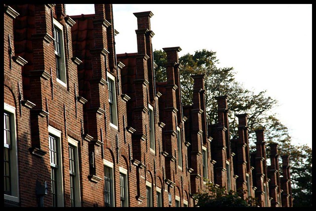 Rows of houses