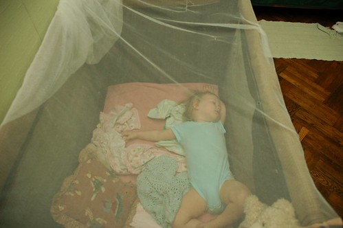 Mosquito protection | by dadburnham