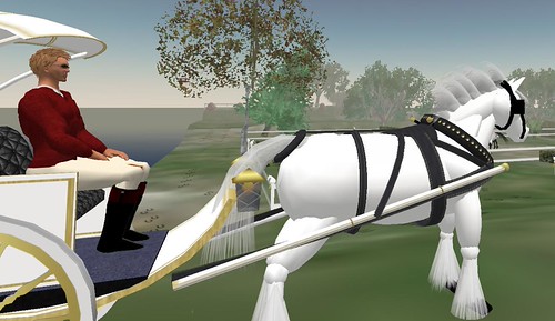 Day @ the Ranch 6 | by Albion Spitteler
