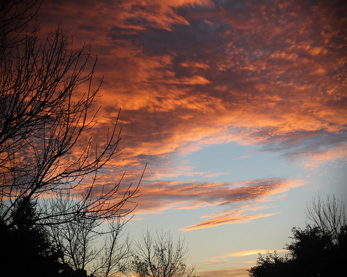 Sunset - Twin Falls, Idaho - 2010 by Jenn Marshall, sunset tree fall clouds canon eos rebel 50mm evening idaho twinfalls auntumn niftyfifty t2i