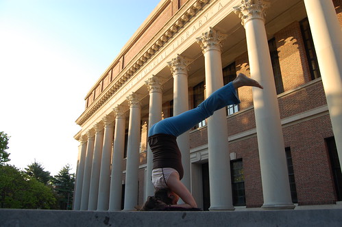 20 Headstands: A Year at Harvard
