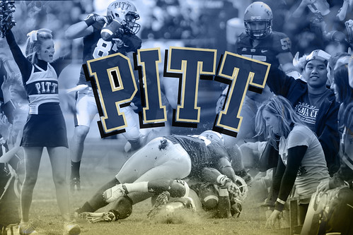 Pitt Composite