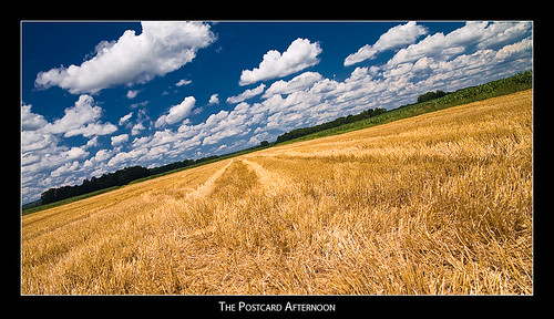 blue sky yellow clouds cornfield tilted