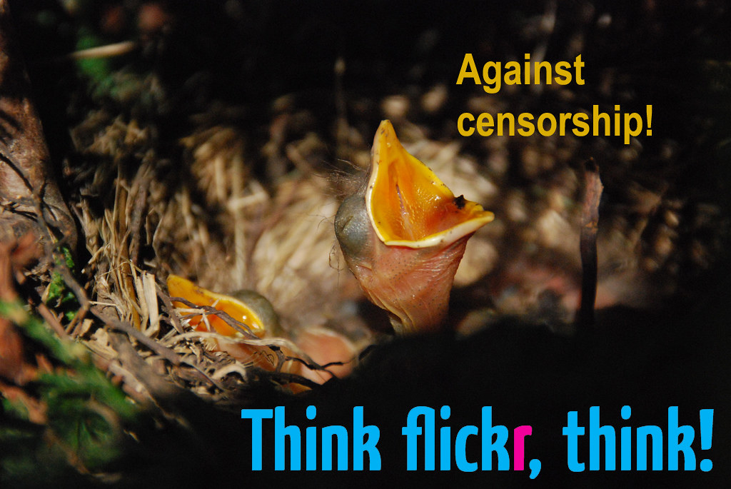 Flickr Controversial No flickr censorship with me! | *flickr sperrt uns aus! Und … | Flickr
