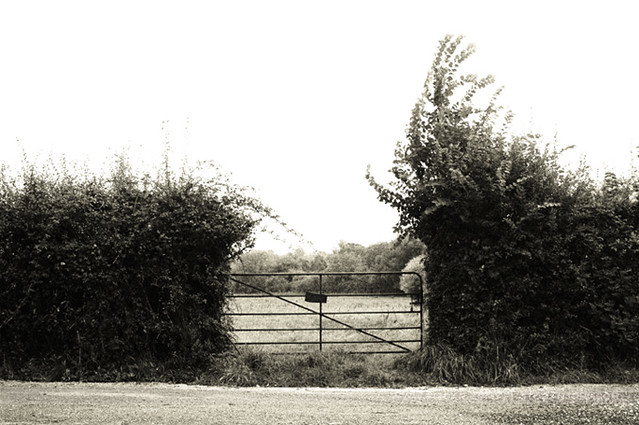 Gate, County Limerick, Ireland