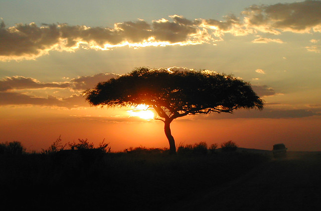 sunset Masai Mara