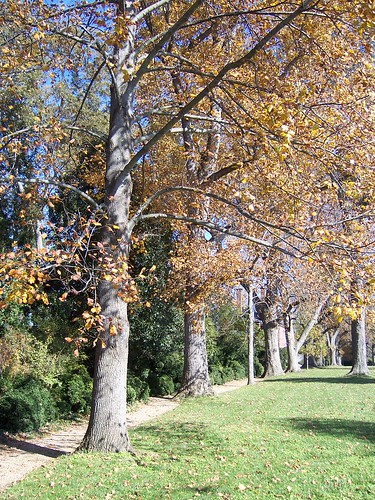 autumn architecture garden landscape virginia historic jamesriver phillipmerritt charlescitycounty