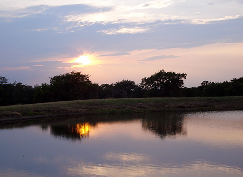 sunset texas fishcamp roysecity