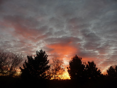 morning november autumn trees sun cold west fall clouds sunrise dawn belmont michigan