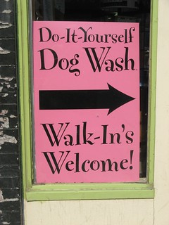 Do-it-Yourself Dog Wash Sign | Spotted in the window of a pe… | Flickr