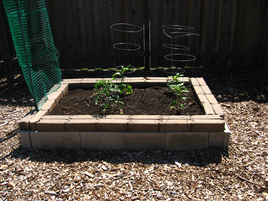 A Raised Bed with Cinder Blocks - Laidback Gardener