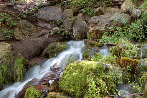 water creek hiking trail hortoncreek