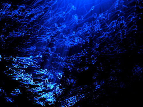 ocean longexposure blue light sea distortion abstract color art water beautiful digital geotagged photography photo movement colorful experimental mood expression surreal unusual feeling trippy abstractphotography fiberopticlight abigfave wickdartsdesign fiberopticlighting ericwaisman