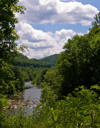 trees water clouds river landscape youghiogheny greatalleghenypassage