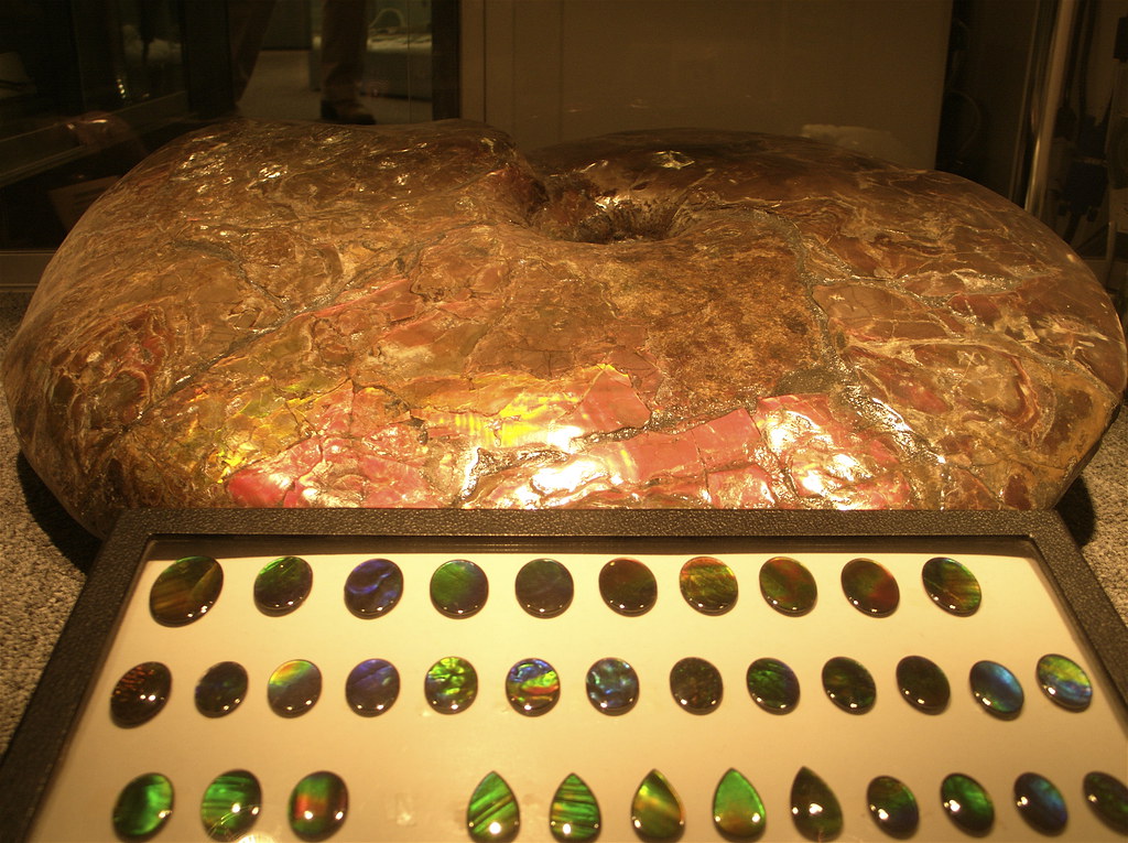 Ammolite | A semi-precious stone formed by the fossilization… | Flickr