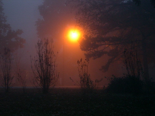 morning fog lamplight