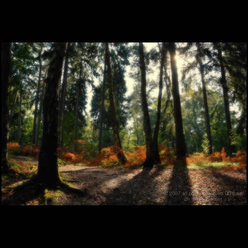 goldener September | by hsrdtr