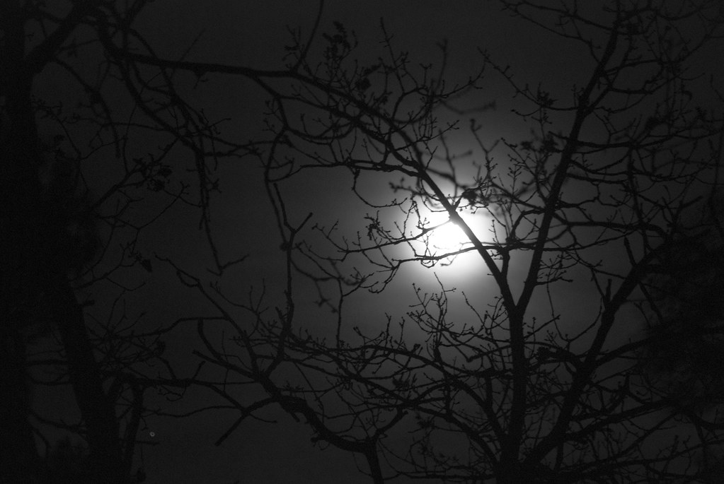 Moonlight | Andrea Balducci | Flickr