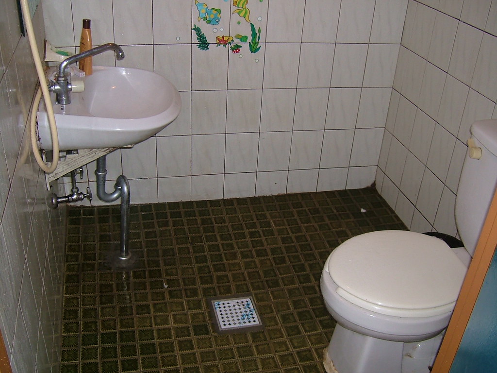 So Gross (there was mold in the toilet!)