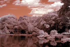 Central Park - The Pond - Infrared