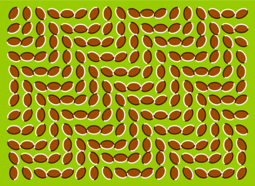 Optical Illusion | This is not animated. | Aaron Fulkerson | Flickr
