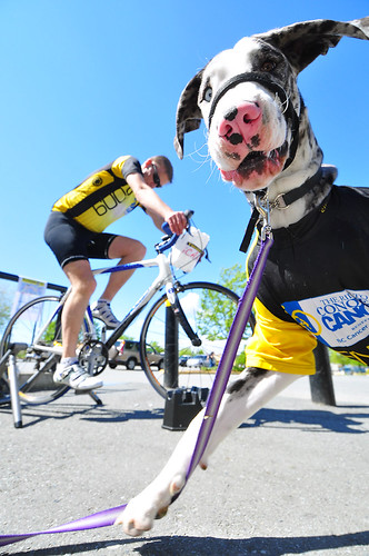 Bike & Dog | by Boaz Joseph