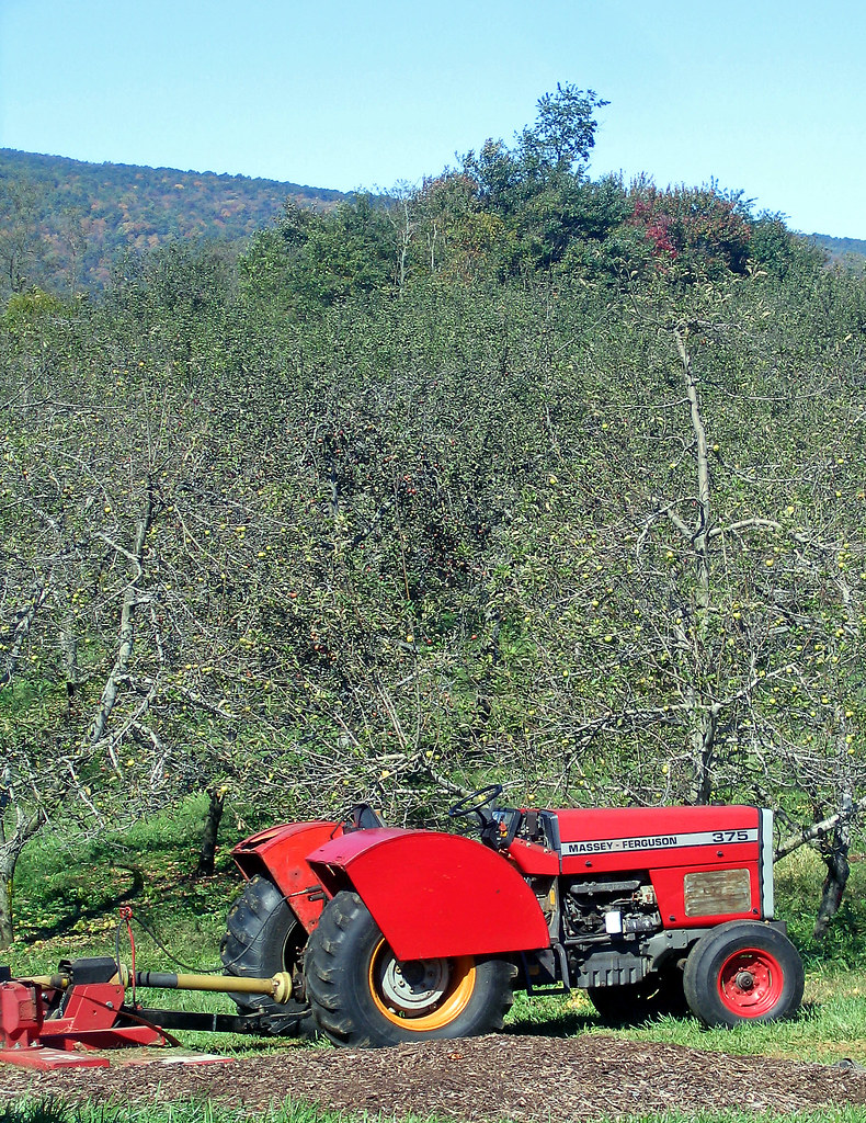Stribling Orchard