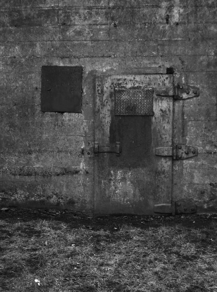 Cellar Door
