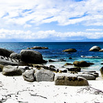 Boulders beach, close to Cape Town