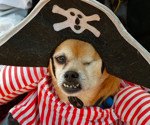One-Eyed Pirate