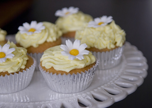 Daisy Cakes | by *Ann Gordon