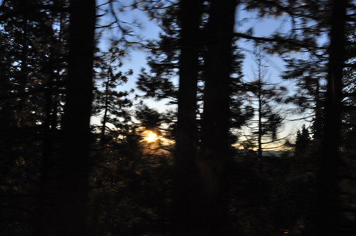california ca trees sunset ski bus sunrise bay am jackson area powpow backofthebus eyefi bayareaskibus backodabus