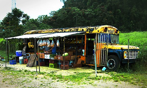 Fruit Stand Schoolbus | by Hal Goodtree